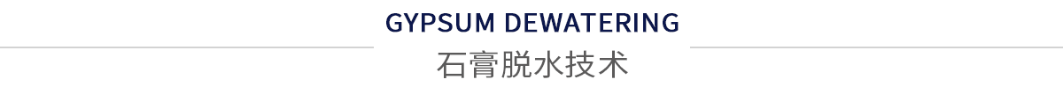 廣東帶式真空脫水機